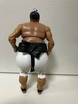 WWE Mattel Elite Yokozuna ヨコズナ マテル WWF プロレスフィギュア_画像2