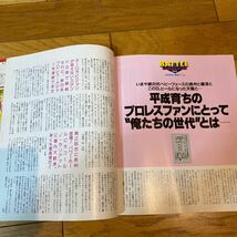 新日本プロレス4・29東京ドーム大会　観戦記　　週刊プロレス_画像8