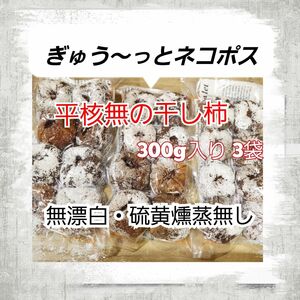 ぎゅう～っとネコポス平核無し300g入り3袋セット