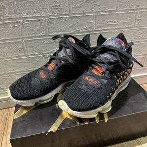 NIKE LEBRON 17 体育館バスケ使用品の画像1