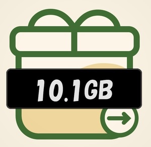 ②パケットギフト 約10.1GB（5,050MB×2）