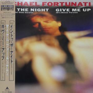 12inchレコード MICHAEL FORTUNATI / INTO THE NIGHT