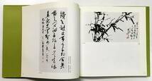 『中国書画の巨匠 董壽平 書画撰』（1991年・日本鉱業株式会社）中国美術 絵画 山水画 紅梅図_画像9