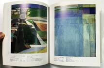 『Richard Diebenkorn リチャード・ディーベンコーン展』原美術館（1989年・アルカンシェール美術財団）アメリカ 現代美術_画像6