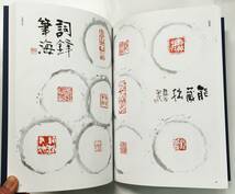 『稲村龍谷 篆刻作品集』（令和4年）関正人 北川博邦 桐山正寿 書画 印章 日展_画像7