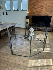  delivery un- possible free delivery possible receipt welcome dog large cage . large dog 