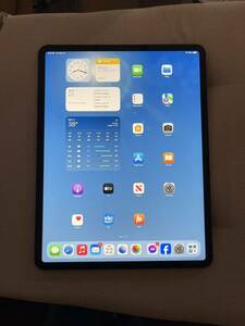 iPad Pro 12.9inch SIMフリー IME352782114559039初期化済み 