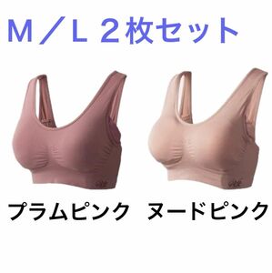 viage ナイトブラ プラムピンク&ヌードピンク MLサイズ 2枚セット ノンワイヤー ナイトブラセット