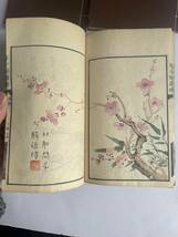 芥子園画伝 第二集 梅菊譜 四冊 揃い 完本 和刻本 (古書 古文書 和本 古本 漢籍 中国 朝鮮 唐本 色彩 画譜)_画像7