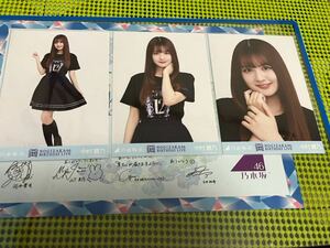 乃木坂46 生写真 12thBDライブTシャツ コンプ 中村麗乃