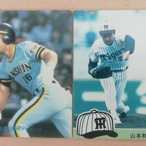 カルビープロ野球カード まとめ売り5枚 ケース 阪神の画像3