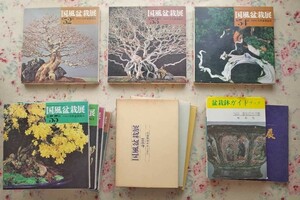 52212/ llustrated book country manner bonsai exhibition another 12 pcs. set Japan bonsai association ... bonsai exhibition bonsai pot guidebook shohin bonsai . leaf pine maple Rhododendron indicum Japanese black pin .... pine 