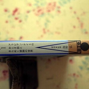 14874/オリエンタル・ファンタジー アラビアン・ナイトのおとぎ話ときらめく装飾の世界 海野弘 パイインターナショナル 挿絵 装飾デザインの画像3