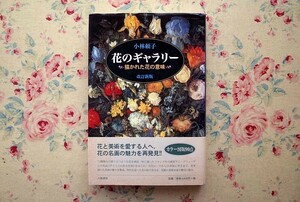 51687/花のギャラリー 描かれた花の意味 改訂新版 小林頼子 八坂書房 ヤン ブリューゲル 植物画 ボッティチェルリ アルチンボルト ゴッホ