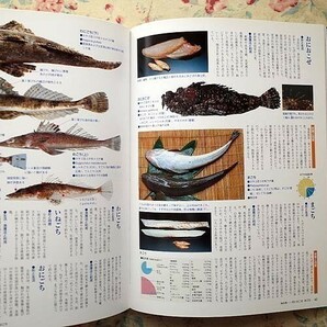 50018/旬の食材 ほか 8冊セット 講談社 夏の魚 秋・冬の野菜 春の魚 秋の魚 冬の魚 春・夏の野菜 食材図典 食材図典2 加工食品編 小学館の画像7