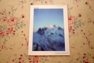 45058/ホンマタカシ 写真集 Mountains Seeing Itself Takashi Homma between the books 00 限定500部 2008年 初版 ZINE写真集(小冊子)付き