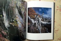50767/大地の富士山 大山行男 写真集 山と渓谷社 2011年初版 サイン入り_画像3