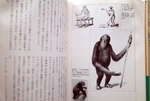 51148/博物誌 世界を写すイメージの歴史 S.ピーター ダンス 東洋書林 図版387点 画家・研究者209組の略伝付き_画像9