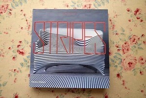 44835/ストライプ デザイン集 Stripes Design Between the Lines 建築 家具・インテリア 現代美術 ファッション テキスタイル