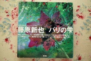 98547/藤原新也写真集 バリの雫 新潮社 帯付き 初版