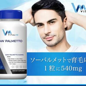 バイタルミー ソーパルメット540mg 【1本250錠】3本セット VitalMe ノコギリヤシ