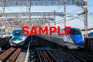 Ｄ-５C【鉄道写真】Ｌ版５枚　東北新幹線　上越新幹線　北陸新幹線など（３）