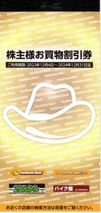 イエローハット　株主優待券　お買い物割引券　３０,０００円分（３００円券×１００枚）　２０２４年１２月３１日迄