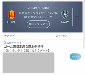 サッカー Jリーグ チケット　4月7日　豊田スタジアム　名古屋グランパス対アビスパ福岡　2F指定席　1名