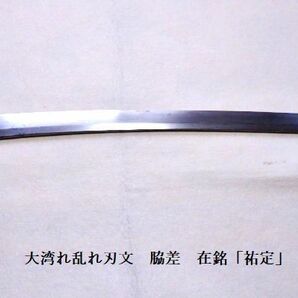 脇差 在銘「祐定」 生ぶ中茎 大湾れ乱れ刃文 白鞘入り 室町時代 刃長44.3㌢ 登録証有 名義変更届書類完備の画像4