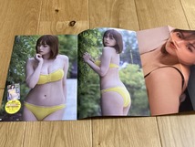 ★篠崎愛 ポスター6枚、クリアファイル2枚、切り抜き9ページ 巨乳グラビアアイドル ヤングチャンピオン B_画像3