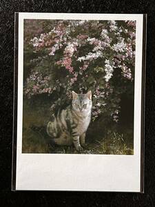 Art hand Auction [Postcard from the Hoki Museum] Fujiwara Shuichi, Bush Clover and Cat, Painting, Oil painting, Animal paintings