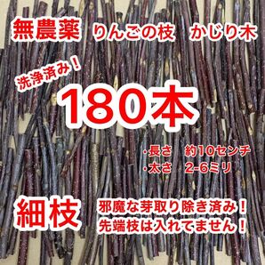 かじり木　180本　りんごの枝　青森県産　小動物