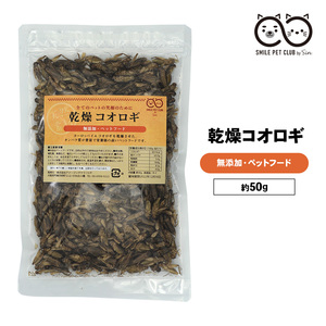 乾燥 コオロギ 50g (約500匹～600匹)イエコオロギ 食用 爬虫類 観賞魚 小動物 鳥類の餌に