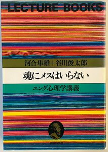 魂にメスはいらない : ユング心理学講義