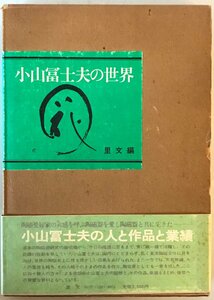 小山富士夫の世界