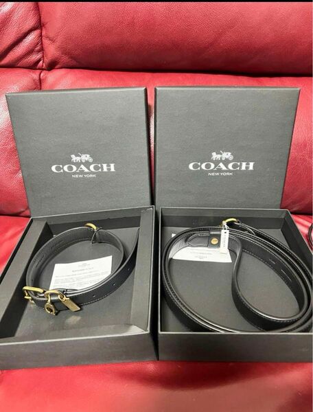 coachリードセット