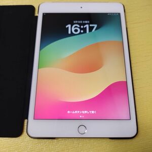 Apple ipad mini5 256gb wifi-cellular SIMフリー