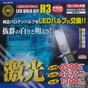 激光　LEDキット　H3タイプ　ホワイト　専用保護キャップ付　12/24V兼用 (LSL-607W)