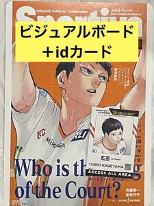 ハイキュー　影山飛雄　ショーセツバン　vリーグ　ビジュアルボード　idカード