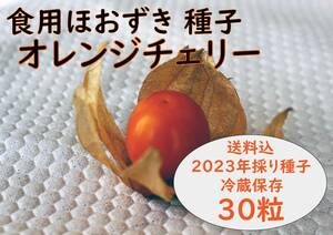 食用ほおずき「オレンジチェリー」種子30粒 ワンコイン500円 a