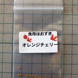 食用ほおずき「オレンジチェリー」種子30粒 ワンコイン500円 aの画像2