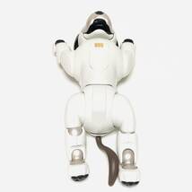 稀少　ソニー エンタテインメントロボット aibo アイボリーホワイト ERS-1000 W_画像6