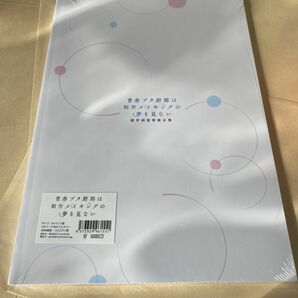 青春ブタ野郎はゆめみる少女の夢を見ない 総作画監督修正集 青春ブタ野郎は制作メイキングの夢を見ないの画像3