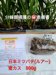 日本ミツバチの蜜カス500g■分蜂群例年50数群捕獲★人工ルアーに勝る誘引力■奥義説明書同封■人工ルアーの効果15日自然蜜カスは1年の効果