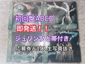 シュリンクと帯付き 櫻坂46 CD 4th シングル 五月雨よ 初回限定盤 ４枚セット 応募券と生写真抜き