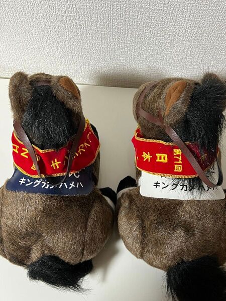 アバンティー社製 キングカメハメハSサイズぬいぐるみセット