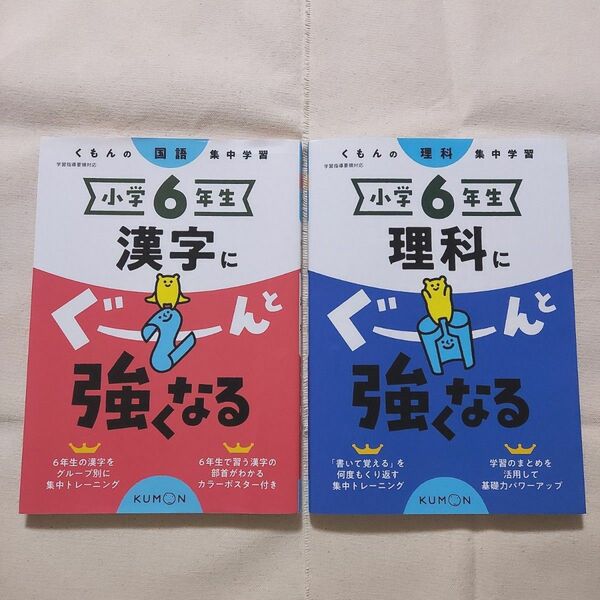 【2冊セット】小6 ぐーんと強くなる(漢字・理科)