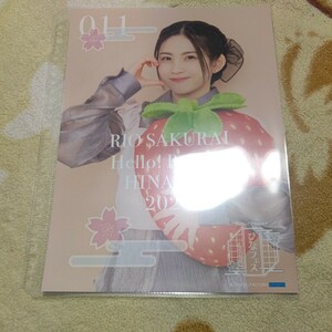 生田衣梨奈　ひなフェス2024 コレクションピンナップポスター　ピンポス