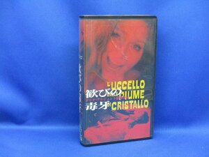 [VHS] наслаждение отравленными клыками Дарио Алгенто дебютировало японские субтитры редкий редкий итальянский фильм 72606