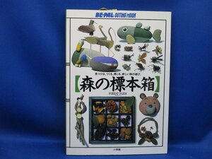 森の標本箱 : 見つける、つくる、感じる、新しい森の遊び　　61912